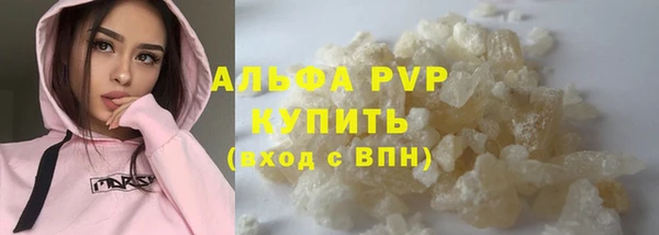 стаф Тутаев