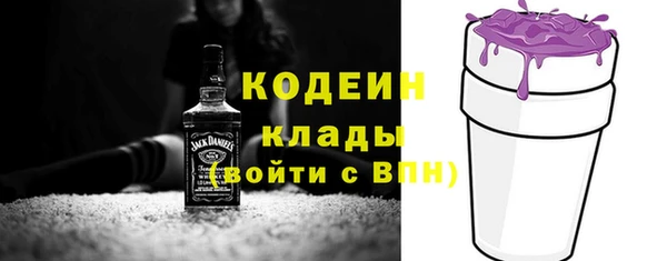 стаф Тутаев