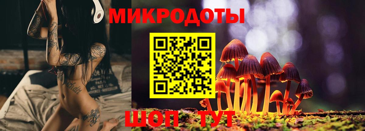Псилоцибиновые грибы прущие грибы Снежинск