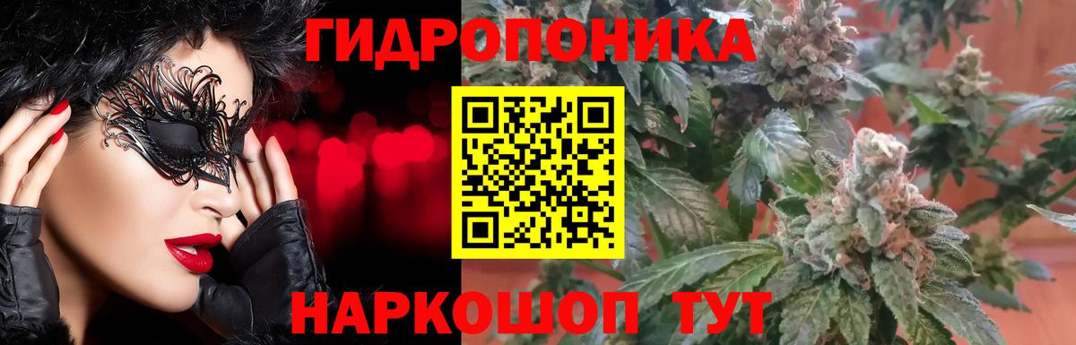 Снежинск  Канабис гибрид  Вход с VPN  МАРИХУАНА MAZAR 